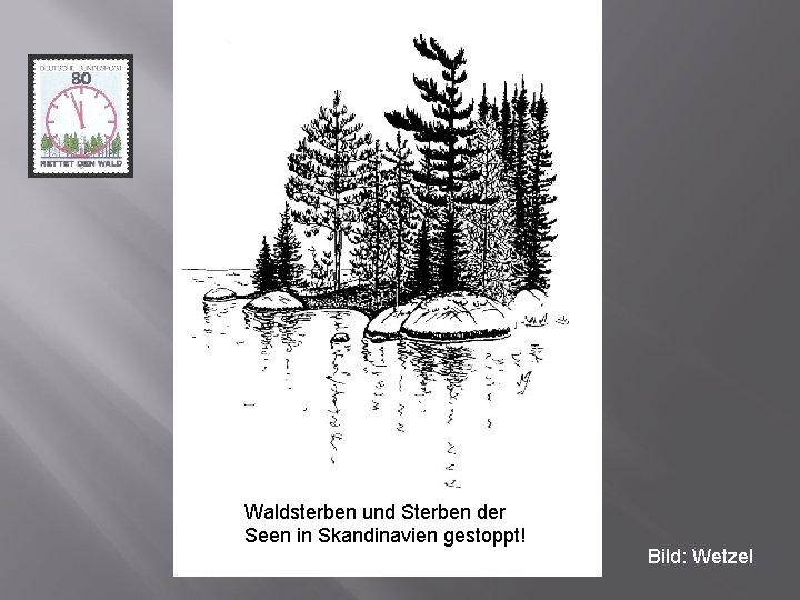 Waldsterben und Sterben der Seen in Skandinavien gestoppt! Bild: Wetzel 