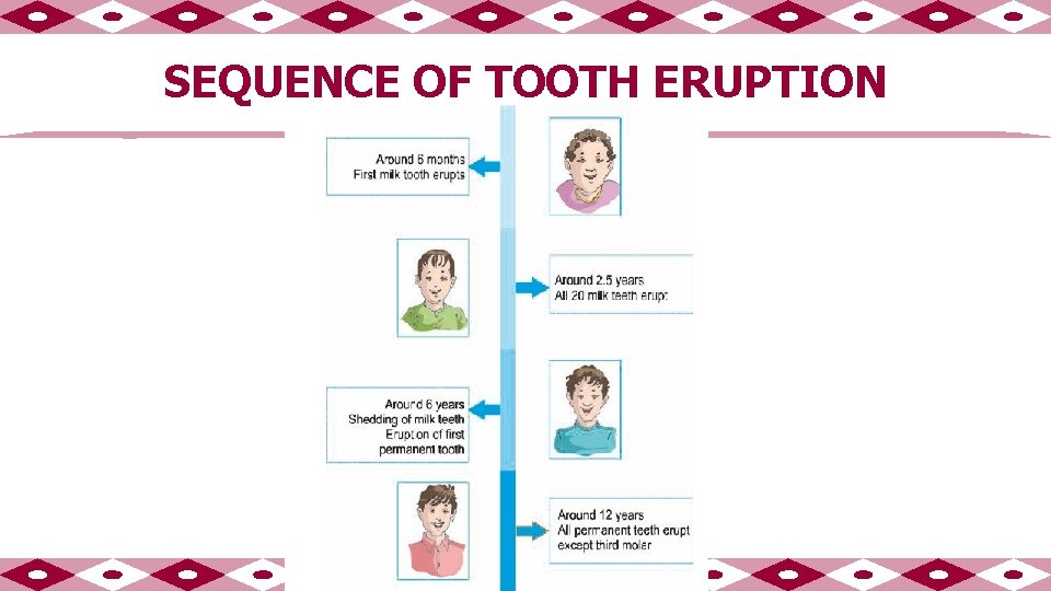 SEQUENCE OF TOOTH ERUPTION 