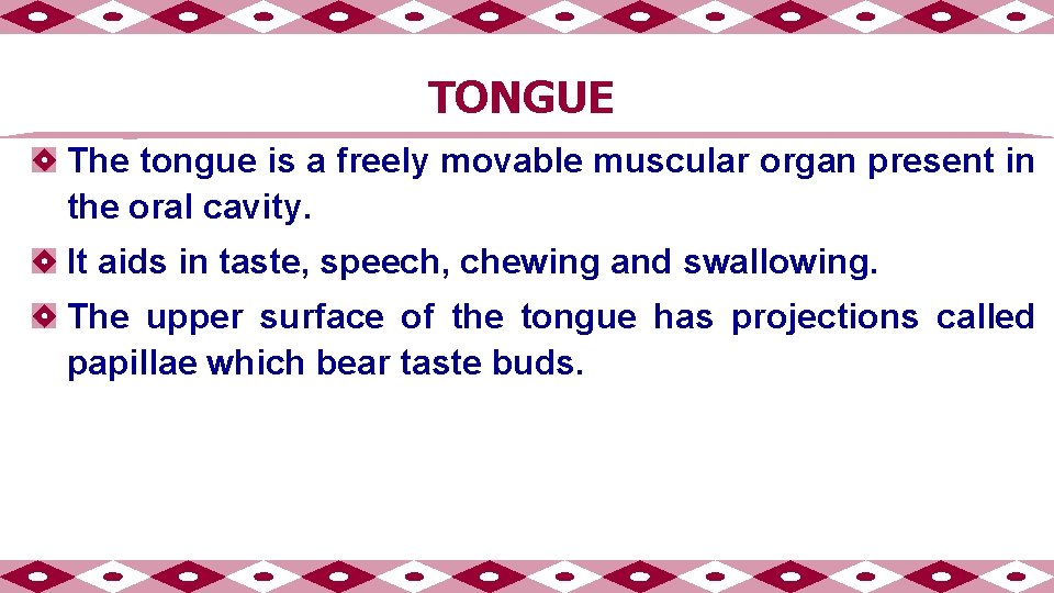 TONGUE The tongue is a freely movable muscular organ present in the oral cavity.