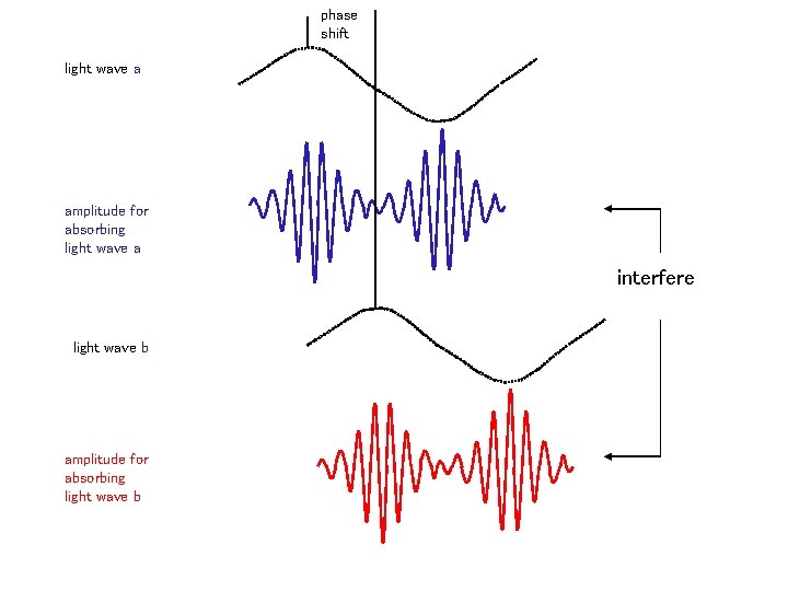 phase shift light wave a amplitude for absorbing light wave a interfere light wave