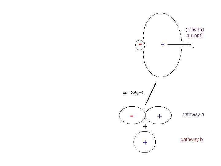 (forward current) - + pathway a + + pathway b 