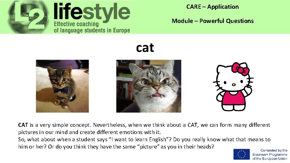 CARE – Application Module – Powerful Questions cat CAT is a very simple concept.