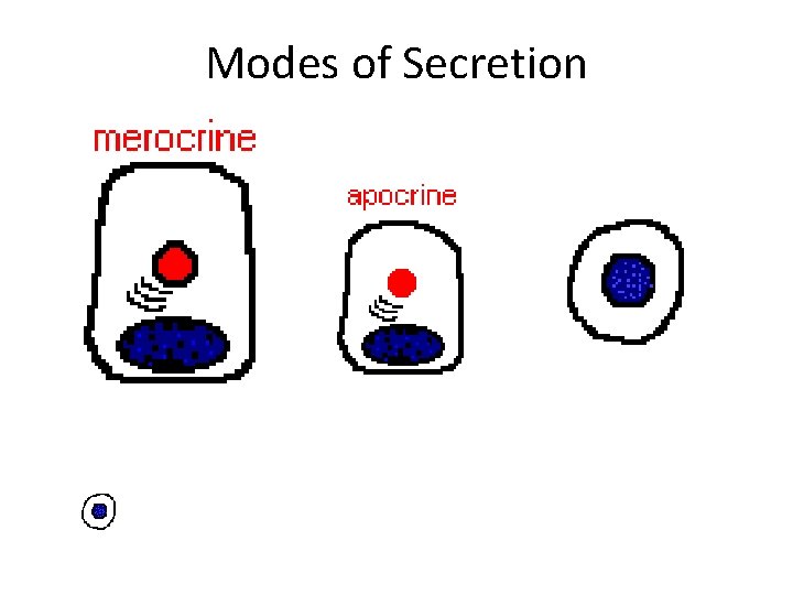 Modes of Secretion 