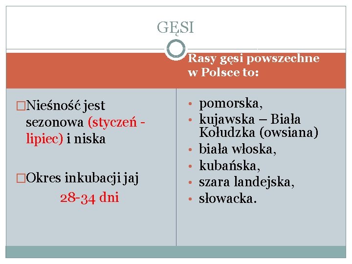 GĘSI Rasy gęsi powszechne w Polsce to: �Nieśność jest sezonowa (styczeń lipiec) i niska