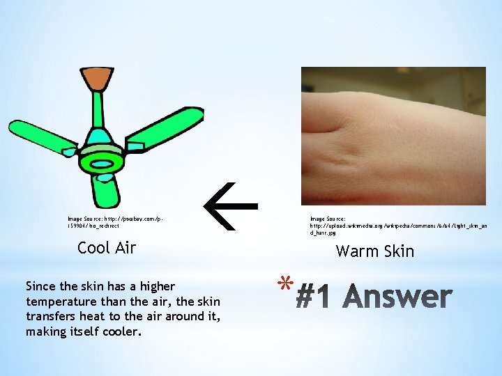Image Source: http: //pixabay. com/p 159904/? no_redirect Cool Air Since the skin has a