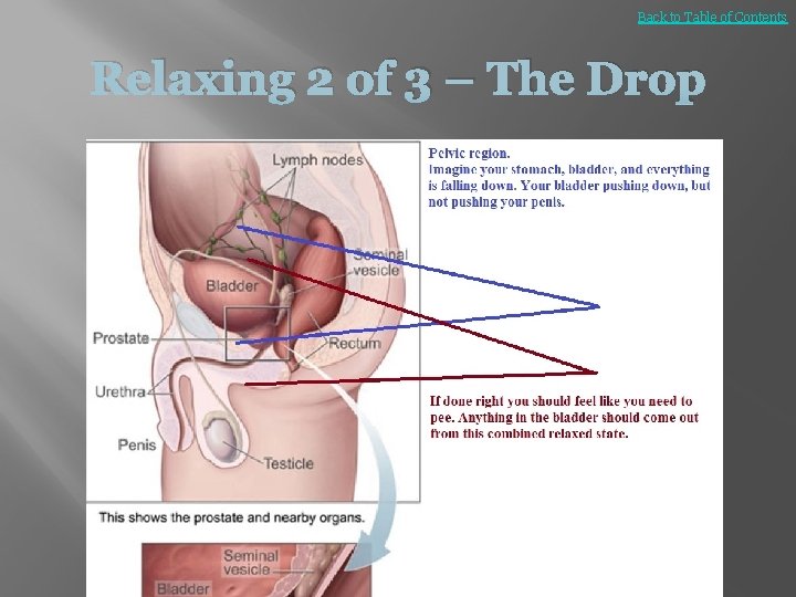 Back to Table of Contents Relaxing 2 of 3 – The Drop 