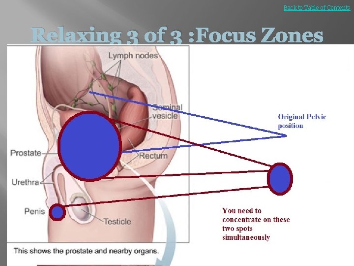 Back to Table of Contents Relaxing 3 of 3 : Focus Zones 
