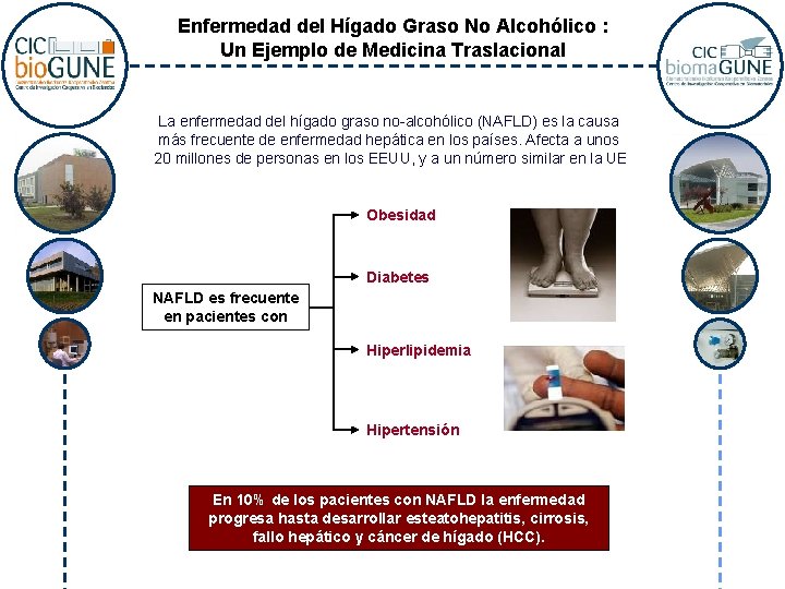 Enfermedad del Hígado Graso No Alcohólico : Un Ejemplo de Medicina Traslacional La enfermedad