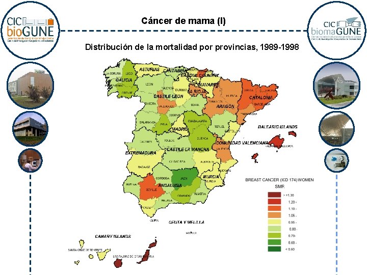 Cáncer de mama (I) Distribución de la mortalidad por provincias, 1989 -1998 