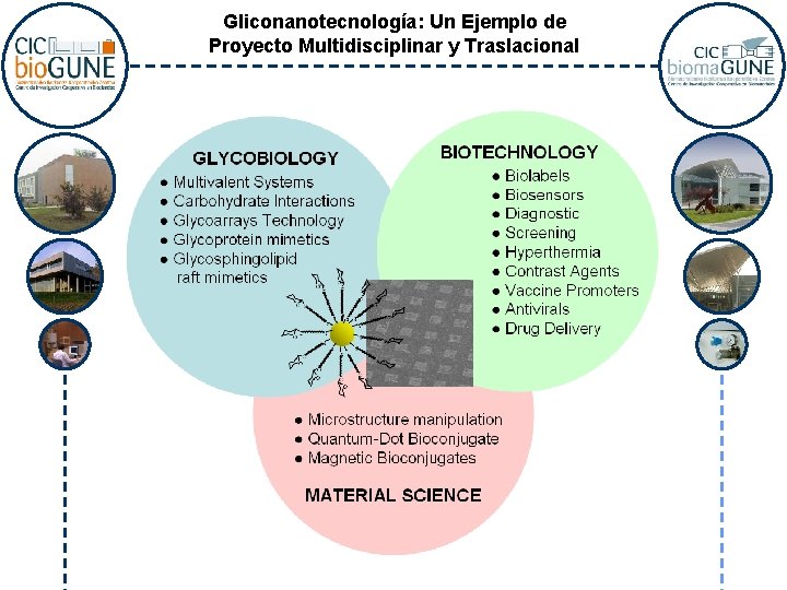 Gliconanotecnología: Un Ejemplo de Proyecto Multidisciplinar y Traslacional 