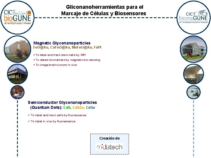 Gliconanoherramientas para el Marcaje de Células y Biosensores Magnetic Glyconanoparticles Fe. O@Au, Co. Fe.