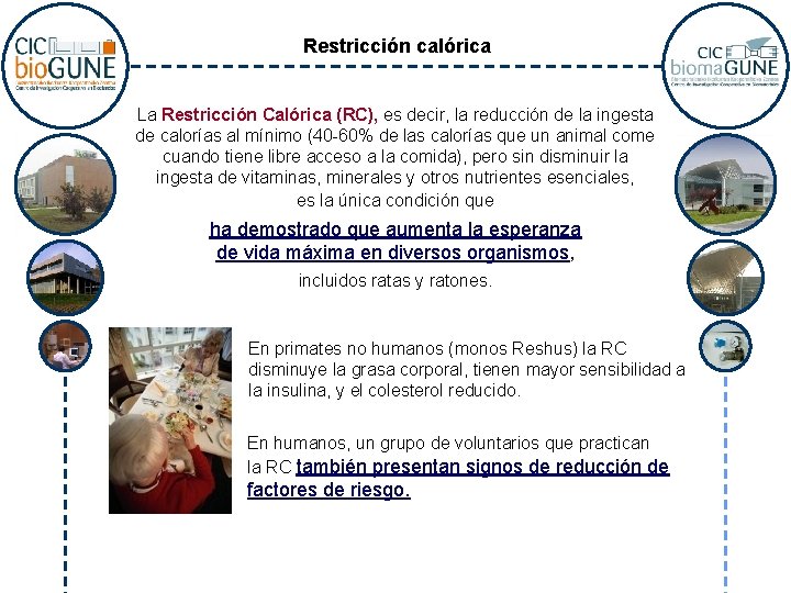 Restricción calórica La Restricción Calórica (RC), es decir, la reducción de la ingesta de