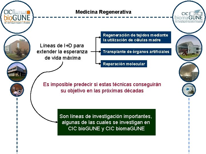 Medicina Regenerativa Regeneración de tejidos mediante la utilización de células madre Líneas de I+D