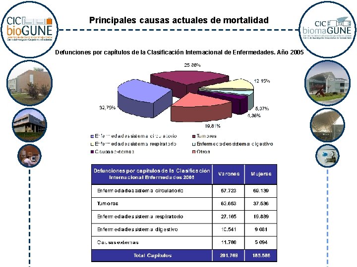 Principales causas actuales de mortalidad Defunciones por capítulos de la Clasificación Internacional de Enfermedades.