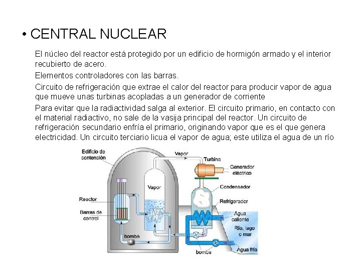  • CENTRAL NUCLEAR El núcleo del reactor está protegido por un edificio de