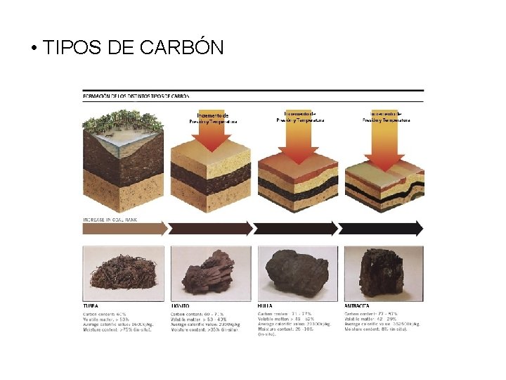  • TIPOS DE CARBÓN 