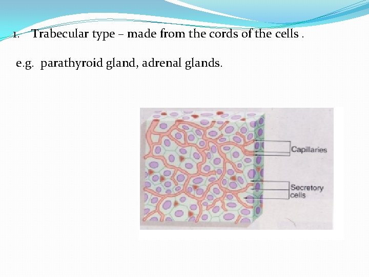 1. Trabecular type – made from the cords of the cells. e. g. parathyroid