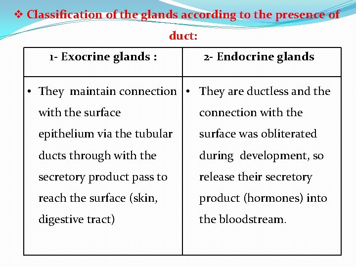 v Classification of the glands according to the presence of duct: 1 - Exocrine