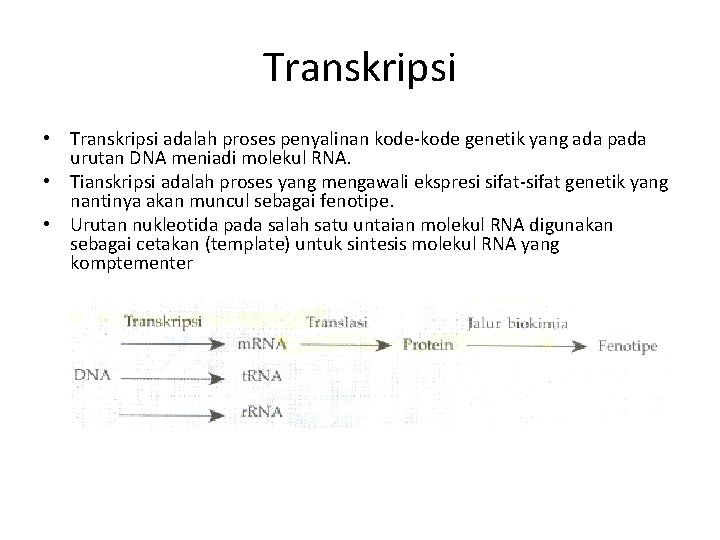 Transkripsi • Transkripsi adalah proses penyalinan kode-kode genetik yang ada pada urutan DNA meniadi