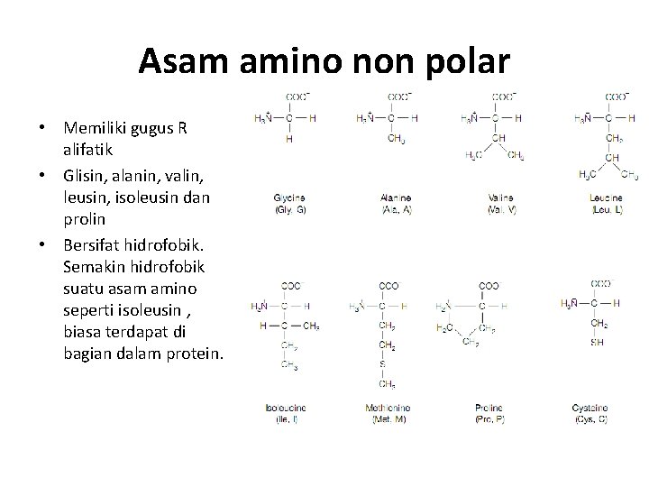 Asam amino non polar • Memiliki gugus R alifatik • Glisin, alanin, valin, leusin,