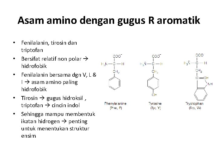 Asam amino dengan gugus R aromatik • Fenilalanin, tirosin dan triptofan • Bersifat relatif