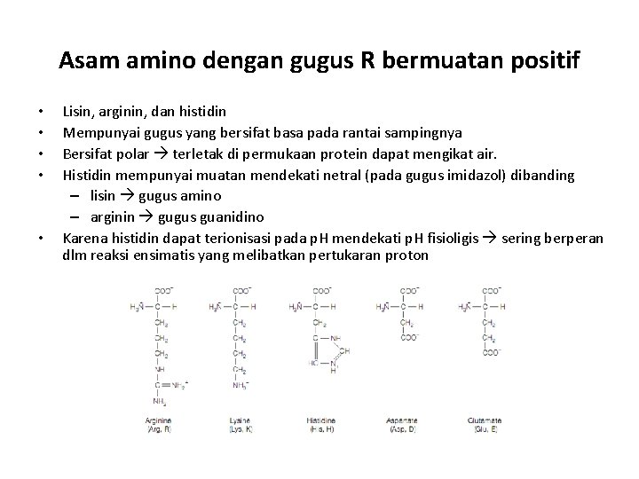 Asam amino dengan gugus R bermuatan positif • • • Lisin, arginin, dan histidin