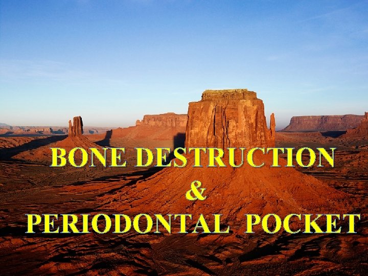 Defense Mechanisms of the Gingiva BONE DESTRUCTION & PERIODONTAL POCKET 