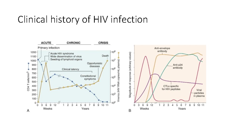 Clinical history of HIV infection 