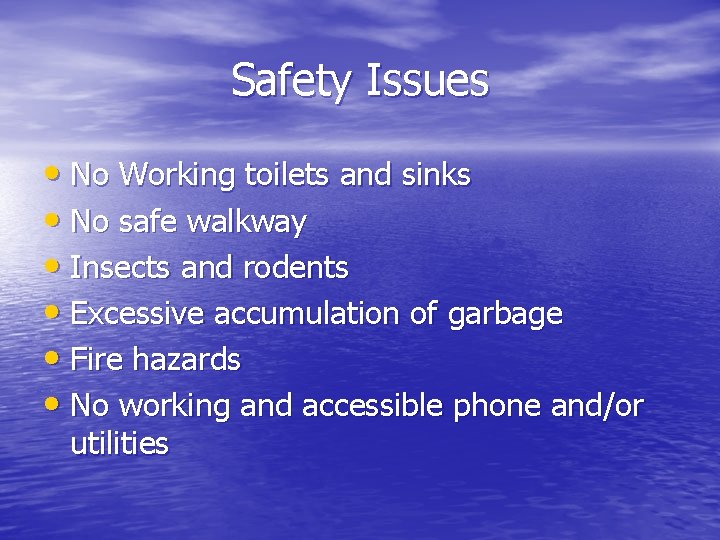 Safety Issues • No Working toilets and sinks • No safe walkway • Insects Safety Issues • No Working toilets and sinks • No safe walkway • Insects
