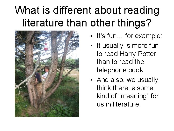 What is different about reading literature than other things? • It’s fun… for example: