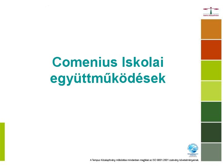 Comenius Iskolai együttműködések 