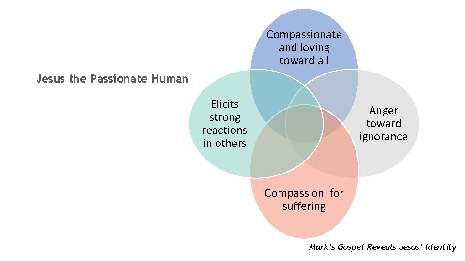 Compassionate and loving toward all Jesus the Passionate Human Elicits strong reactions in others