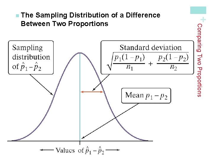 Comparing Two Proportions Sampling Distribution of a Difference Between Two Proportions + n The