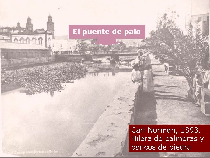 El puente de palo Carl Norman, 1893. Hilera de palmeras y bancos de piedra
