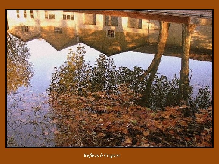 Reflets à Cognac 