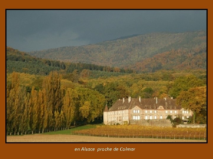 en Alsace proche de Colmar 