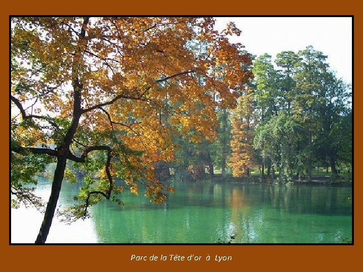 Parc de la Tête d’or à Lyon 