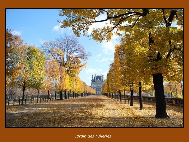 Jardin des Tuileries 