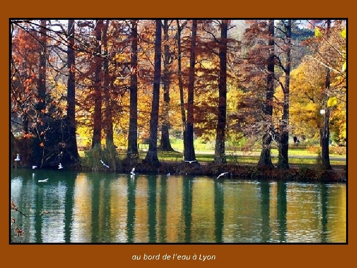 au bord de l’eau à Lyon 