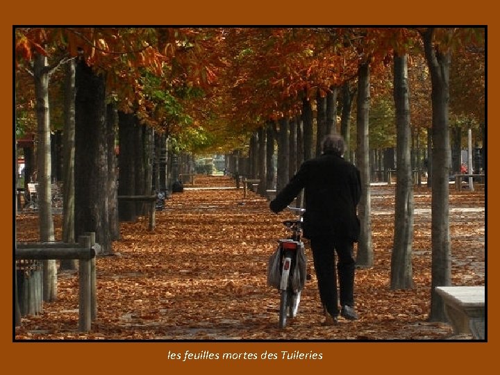les feuilles mortes des Tuileries 