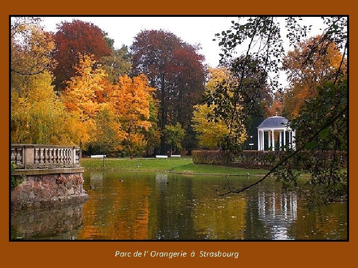 Parc de l’ Orangerie à Strasbourg 