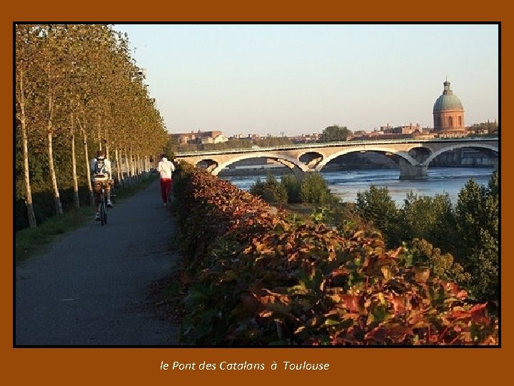 le Pont des Catalans à Toulouse 