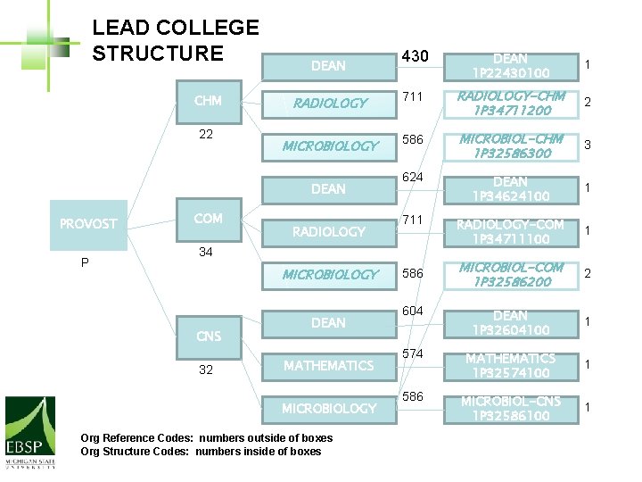 LEAD COLLEGE STRUCTURE CHM 22 430 DEAN 1 P 22430100 1 RADIOLOGY 711 RADIOLOGY-CHM