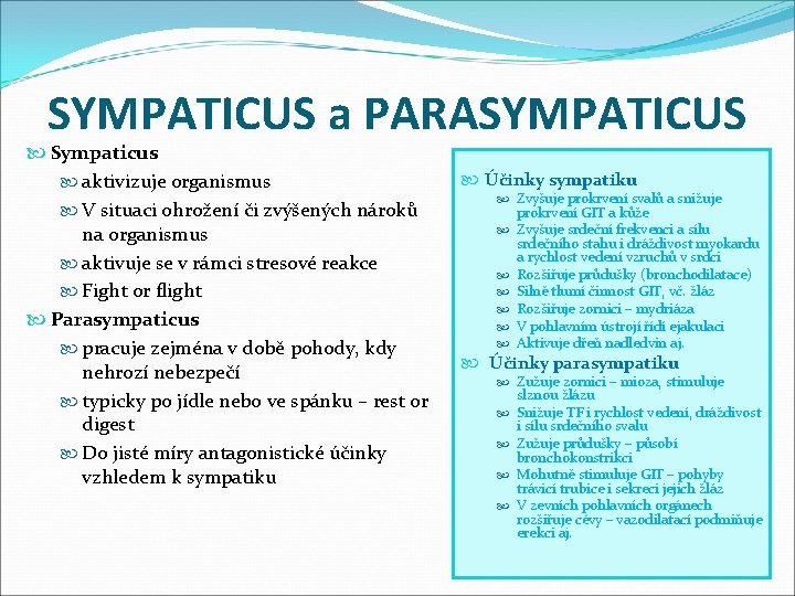 SYMPATICUS a PARASYMPATICUS Sympaticus aktivizuje organismus V situaci ohrožení či zvýšených nároků na organismus