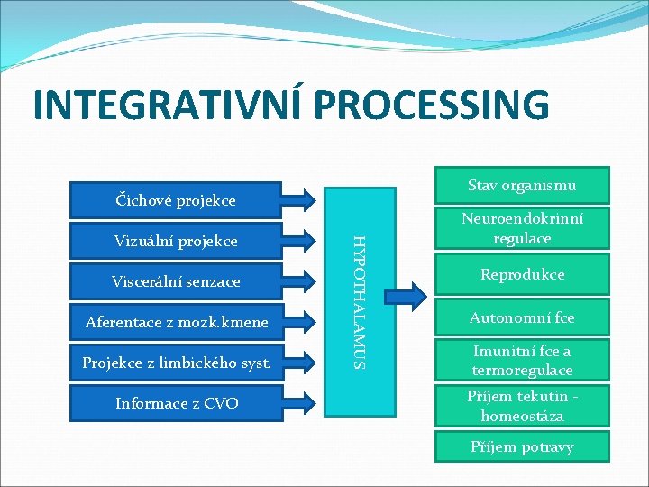 INTEGRATIVNÍ PROCESSING Stav organismu Čichové projekce Viscerální senzace Aferentace z mozk. kmene Projekce z