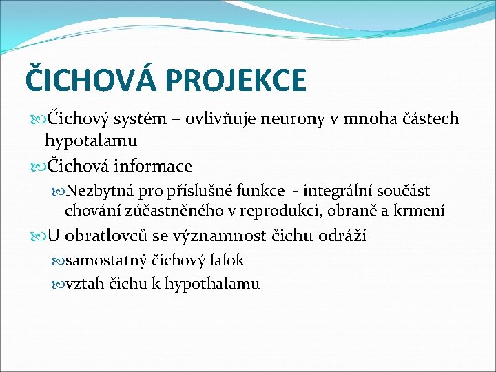 ČICHOVÁ PROJEKCE Čichový systém – ovlivňuje neurony v mnoha částech hypotalamu Čichová informace Nezbytná