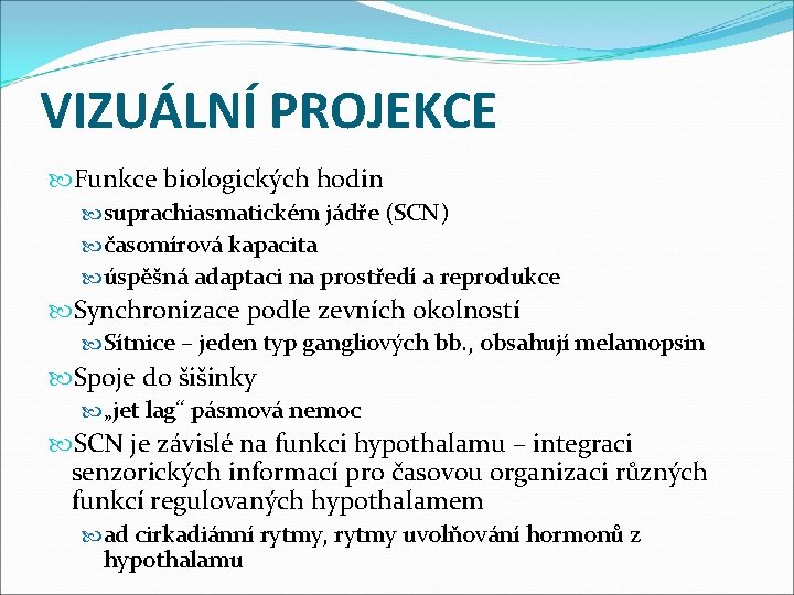 VIZUÁLNÍ PROJEKCE Funkce biologických hodin suprachiasmatickém jádře (SCN) časomírová kapacita úspěšná adaptaci na prostředí