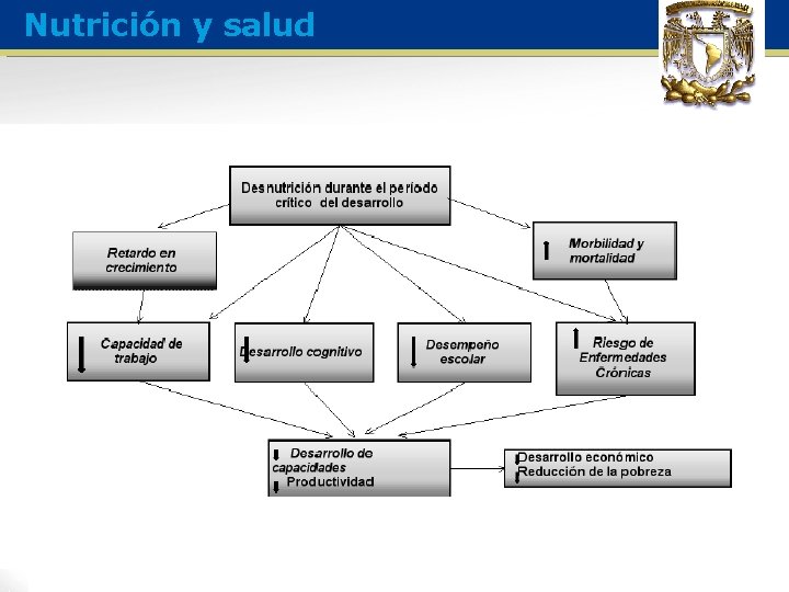 Nutrición y salud 