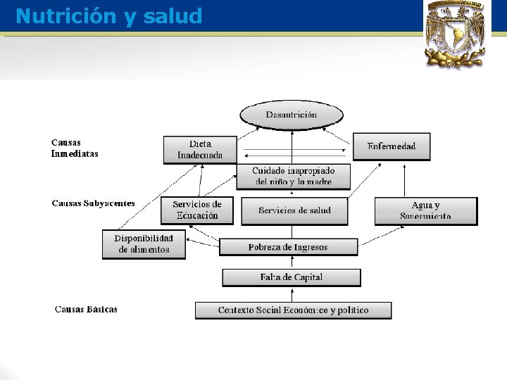 Nutrición y salud 