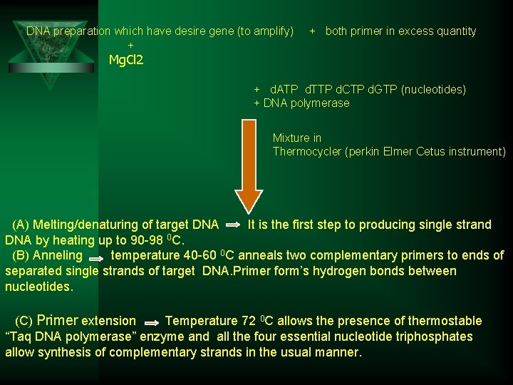 DNA preparation which have desire gene (to amplify) + + both primer in excess